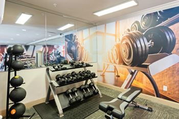 Apartment gym